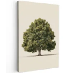 Eikenboom - Groen - Lichte achtergrond Tuinposter op houten frame 2 cm dik klein -3d