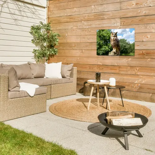 Uil - Boomstronk - Bos - Lucht Tuinposter op houten frame 2 cm dik klein -sfeer2