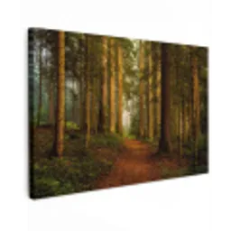 Pad door majestueus dennenbos Tuinposter op houten frame 2 cm dik klein -3d