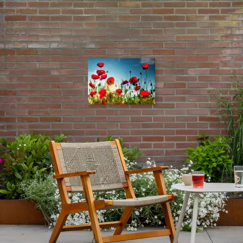 Klaprozen in tegenlicht Tuinposter op houten frame 2 cm dik klein -sfeer3