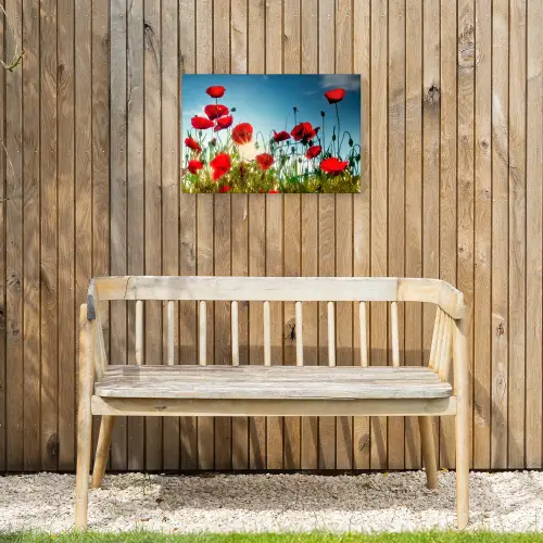 Klaprozen in tegenlicht Tuinposter op houten frame 2 cm dik klein -sfeer4