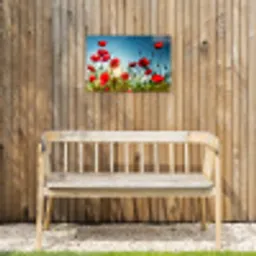 Klaprozen in tegenlicht Tuinposter op houten frame 2 cm dik klein -sfeer4