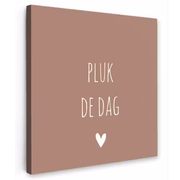 Quotes - Carpe diem - Pluk de dag - Spreuken Tuinposter op houten frame 2 cm dik klein -3d