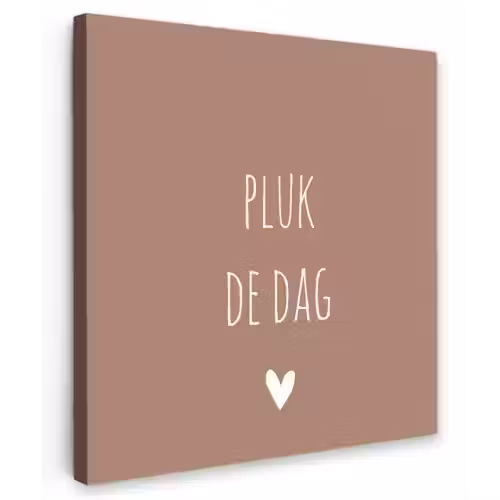 Quotes - Carpe diem - Pluk de dag - Spreuken Tuinposter op houten frame 2 cm dik klein -3d