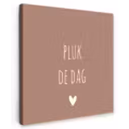 Quotes - Carpe diem - Pluk de dag - Spreuken Tuinposter op houten frame 2 cm dik klein -3d