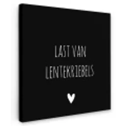 Quotes - Spreuken - Lentekriebels Tuinposter op houten frame 2 cm dik klein -3d