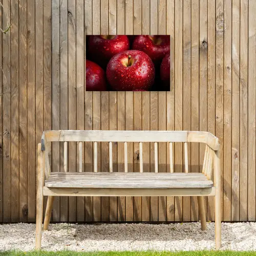 Rood - Appels - Fruit Tuinposter op houten frame 2 cm dik klein -sfeer4