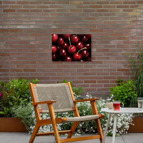 Rood - Fruit - Kersen Tuinposter op houten frame 2 cm dik klein -sfeer3