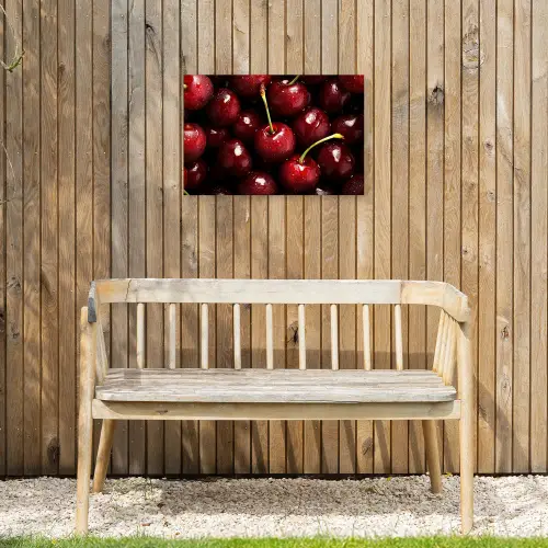 Rood - Fruit - Kersen Tuinposter op houten frame 2 cm dik klein -sfeer4