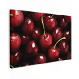 Rood - Fruit - Kersen Tuinposter op houten frame 2 cm dik klein -3d
