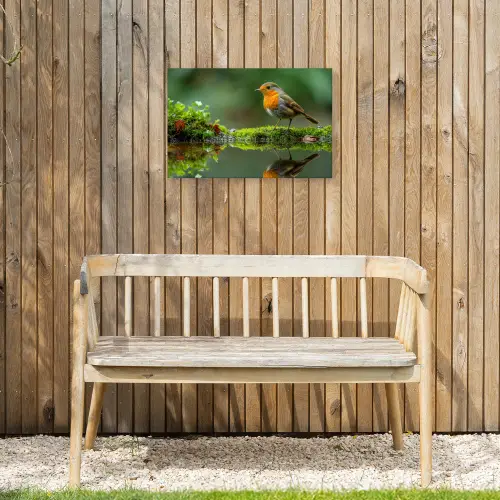 Roodborstje bij het Water Tuinposter op houten frame 2 cm dik klein -sfeer4