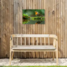 Roodborstje bij het Water Tuinposter op houten frame 2 cm dik klein -sfeer4