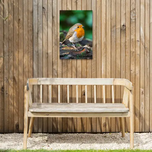 Roodborstje op een Boomstam Tuinposter op houten frame 2 cm dik klein -sfeer4