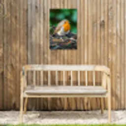 Roodborstje op een Boomstam Tuinposter op houten frame 2 cm dik klein -sfeer4