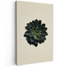 Rozet - Cirkelvormig - Donkergroen Tuinposter op houten frame 2 cm dik klein -3d