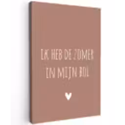 Spreuken - Ik heb de zomer in mijn bol - Quotes - André Hazes Tuinposter op houten frame 2 cm dik klein -3d