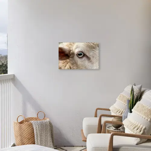 Schaap - Oog - Wit Tuinposter op houten frame 2 cm dik klein -sfeer1