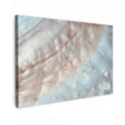 Schelpen - Abstract - Natuur Tuinposter op houten frame 2 cm dik klein -3d