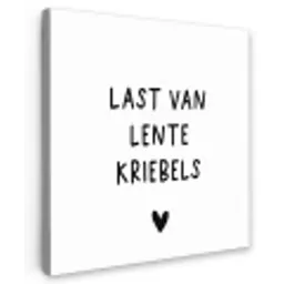 Last van lentekriebels - Spreuken - Quotes Tuinposter op houten frame 2 cm dik klein -3d