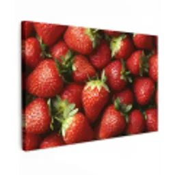 Aardbei - Fruit - Rood Tuinposter op houten frame 2 cm dik klein -3d