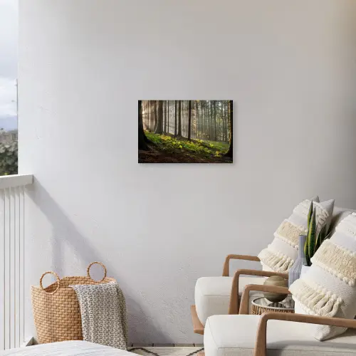 Zon - Takken - Bomen - Bos - Natuur Tuinposter op houten frame 2 cm dik klein -sfeer1