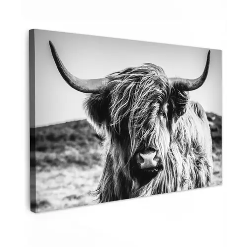 Stoere Hooglander Tuinposter op houten frame 2 cm dik klein -3d