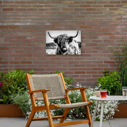 Stoere Hooglander Tuinposter op houten frame 2 cm dik klein -sfeer3