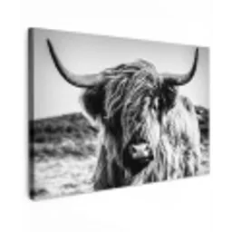 Stoere Hooglander Tuinposter op houten frame 2 cm dik klein -3d