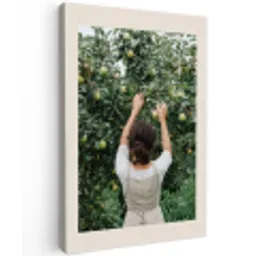 Boom - Appels - Plukken - Natuur Tuinposter op houten frame 2 cm dik klein -3d