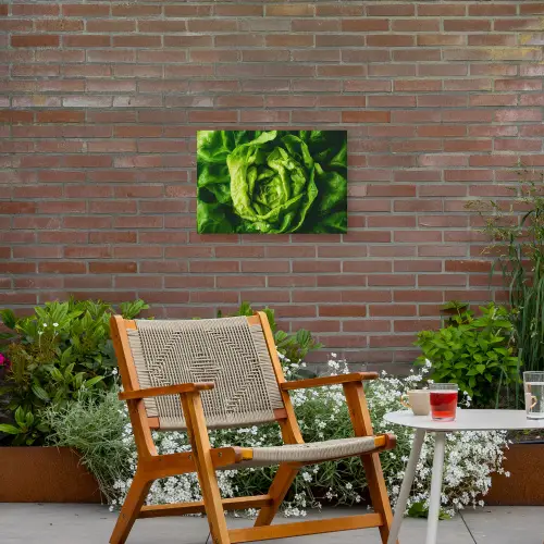 Groente - Sla - Groen Tuinposter op houten frame 2 cm dik klein -sfeer3