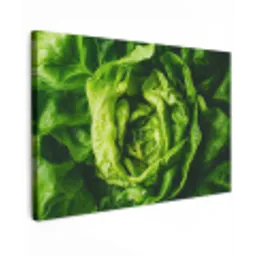 Groente - Sla - Groen Tuinposter op houten frame 2 cm dik klein -3d