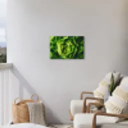 Groente - Sla - Groen Tuinposter op houten frame 2 cm dik klein -sfeer1