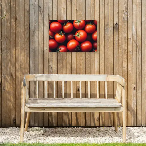 Groente - Rood - Tomaten Tuinposter op houten frame 2 cm dik klein -sfeer4
