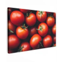 Groente - Rood - Tomaten Tuinposter op houten frame 2 cm dik klein -3d