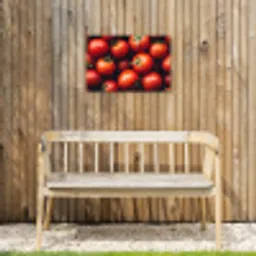 Groente - Rood - Tomaten Tuinposter op houten frame 2 cm dik klein -sfeer4