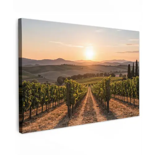 Wijngaard - Zonsondergang - Landschap Tuinposter op houten frame 2 cm dik klein -3d