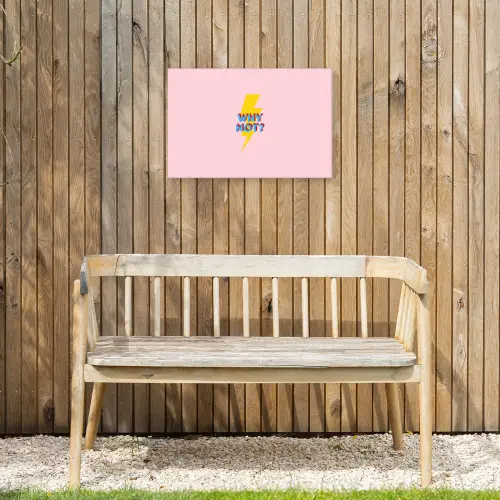 Why not - Bliksem - Roze Tuinposter op houten frame 2 cm dik klein -sfeer4