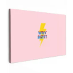 Why not - Bliksem - Roze Tuinposter op houten frame 2 cm dik klein -3d