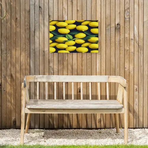 Gele - Citroenen - Druppels - Fruit Tuinposter op houten frame 2 cm dik klein 845 -sfeer4