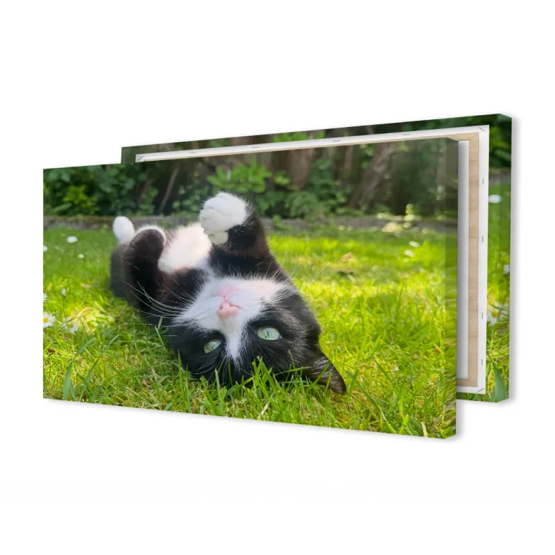 cb94ec79-1e31-42a0-a95b-f99a81844baa.webp