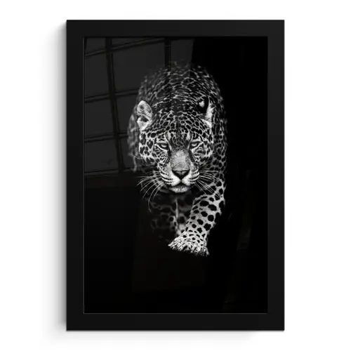 Dieren - Zwart - Luipaard - Wit - Wild fotolijst zwart zonder passe partout klein -3d