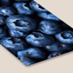 Bessen - Blauw - Fruit fotolijst zwart zonder passe partout klein -zsfeer6