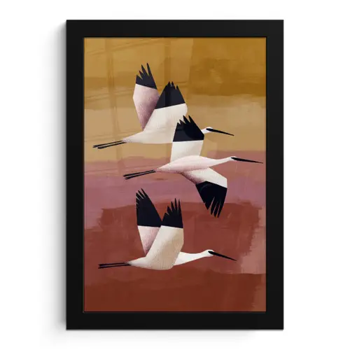 Vogels - Snavel - Abstract fotolijst zwart zonder passe partout klein -3d