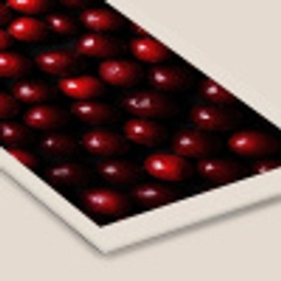Kersen - Rood fotolijst zwart zonder passe partout klein -zsfeer6