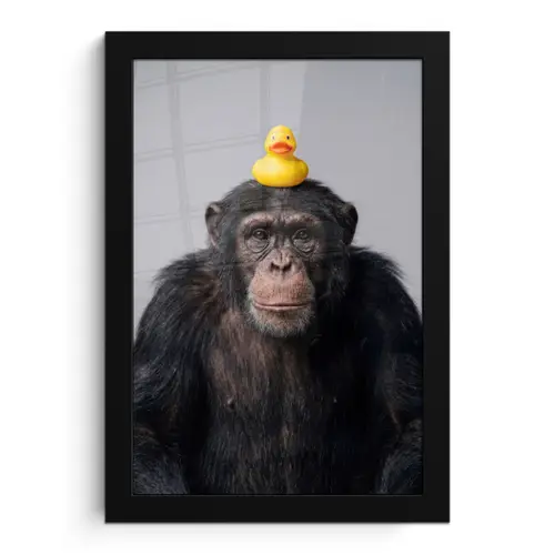Chimpansee - Badeend - Grijs fotolijst zwart zonder passe partout klein -3d