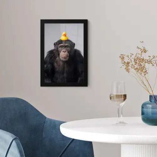 Chimpansee - Badeend - Grijs fotolijst zwart zonder passe partout klein -sfeer4