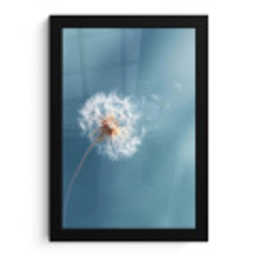 Paardenbloem - Wind - Blauw fotolijst zwart zonder passe partout klein -3d