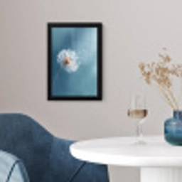 Paardenbloem - Wind - Blauw fotolijst zwart zonder passe partout klein -sfeer4