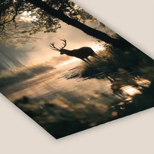 Hert - Bosbeek - Mystiek fotolijst zwart zonder passe partout klein -zsfeer6