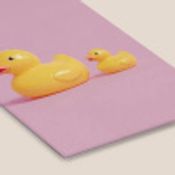 Eendjes - Vrolijk - Roze fotolijst zwart zonder passe partout klein -zsfeer6
